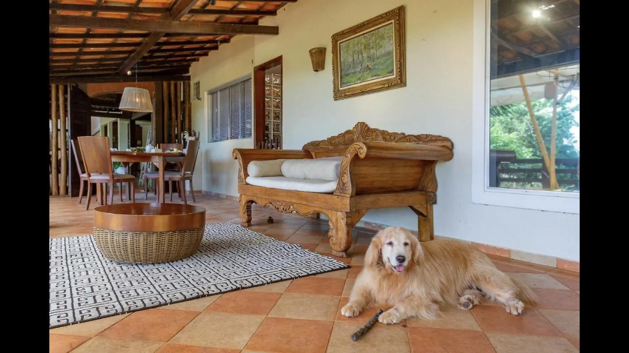 Luxurious & Comfortable Brasilia